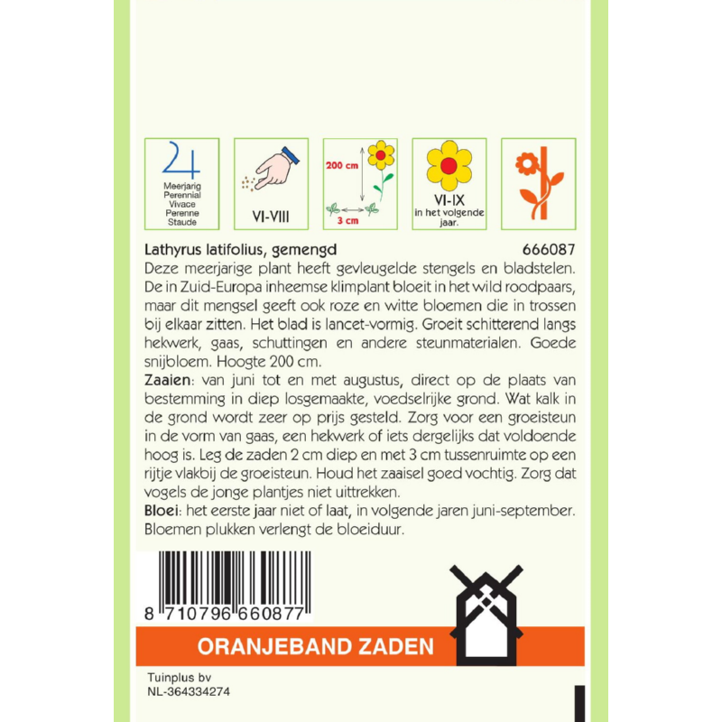Oranjeband® Lathyrus Latifolius Mxd