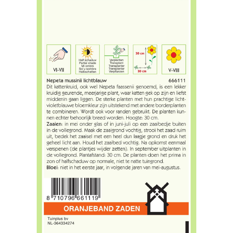 Oranjeband® Nepeta mussinii (Faassenii)