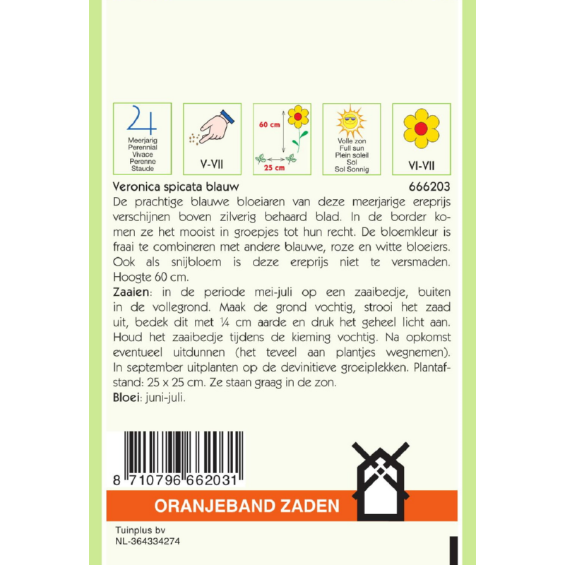Oranjeband® Veronica Spicata Blue