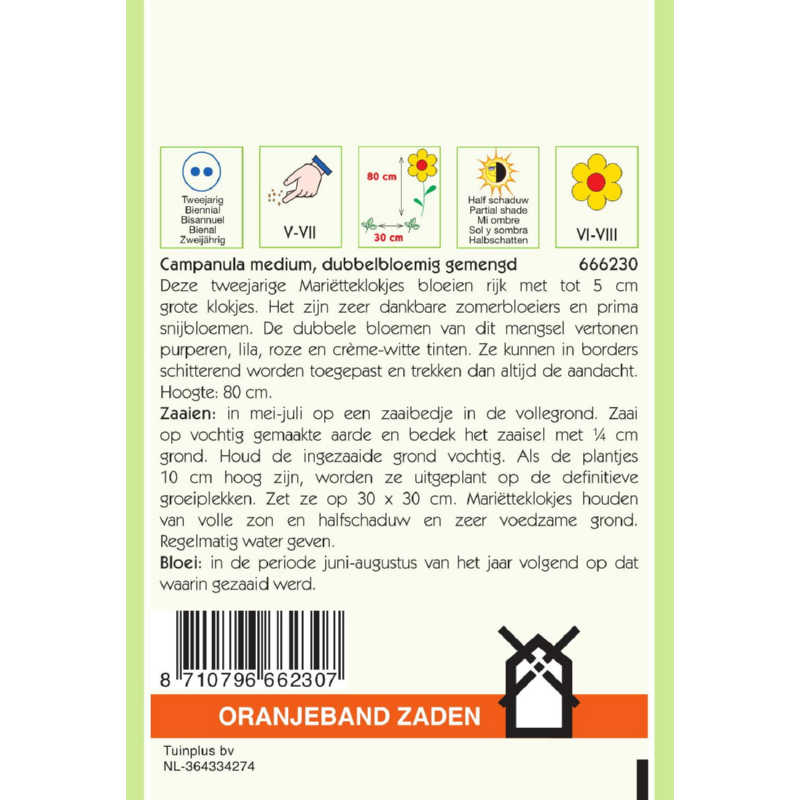 Oranjeband® Campanula Calyc. Cup en Saucer Mixed