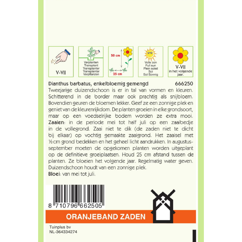 Oranjeband® Dianthus Barbatus Single Mixed