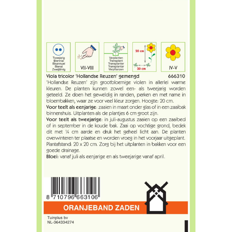 OBZ Viola, Viool Hollandse Reuzen gemengd