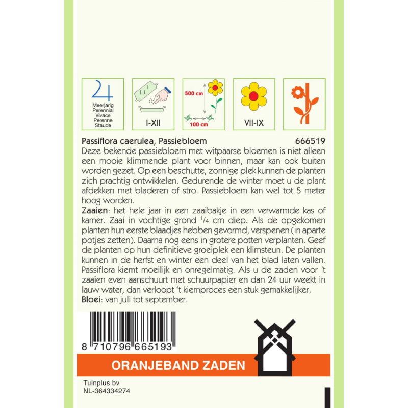 OBZ Passiflora, Passiebloem