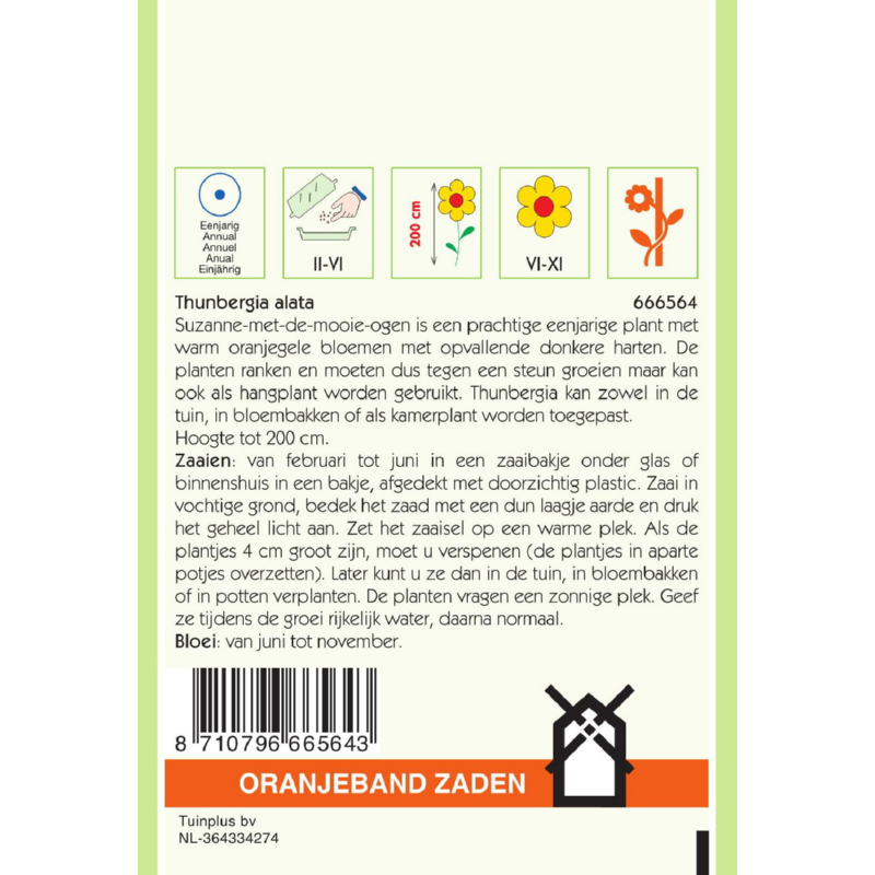 OBZ Thunbergia, Suzanne-met-de-mooie-ogen