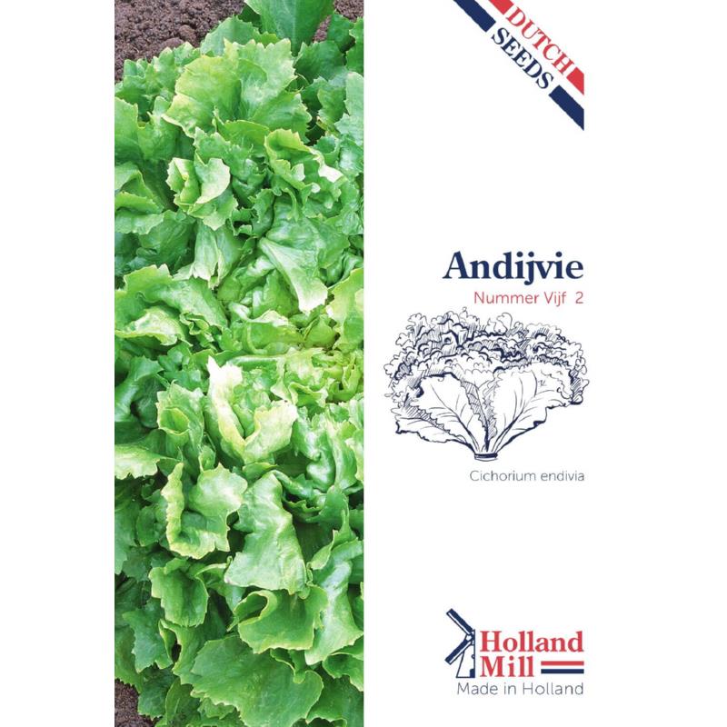 Holland Mill Andijvie Nummer Vijf 2