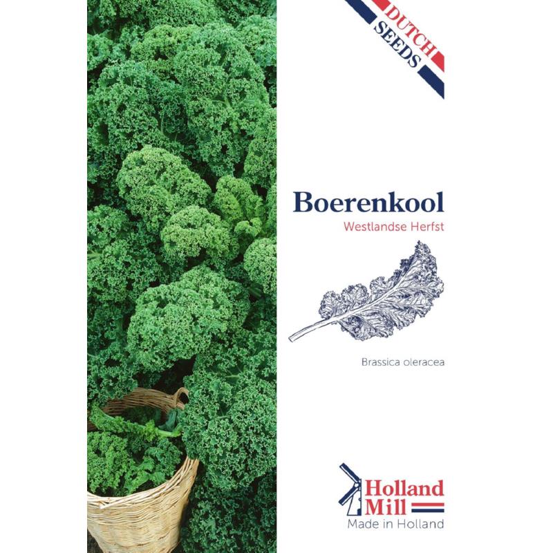 Holland Mill Borecole or Kale Westland Autumn