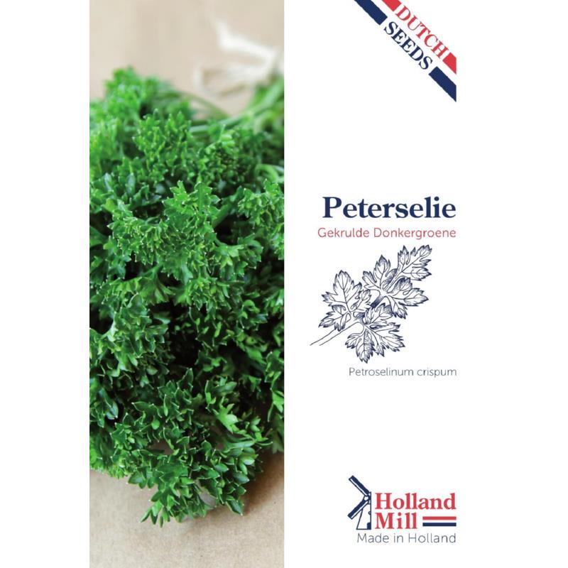 Holland Mill Peterselie Gekrulde