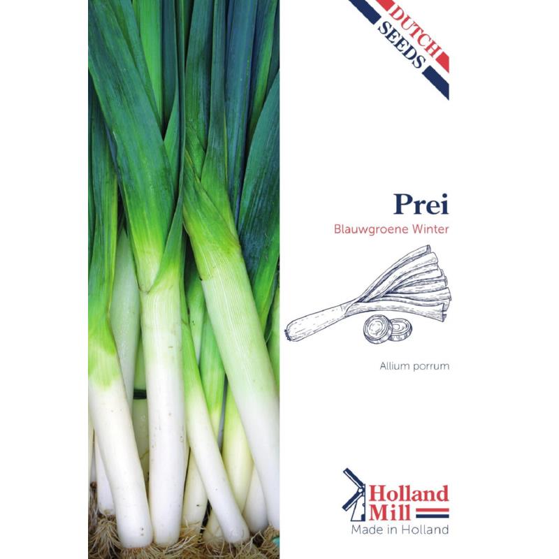 Holland Mill Prei Blauwgroene Winter