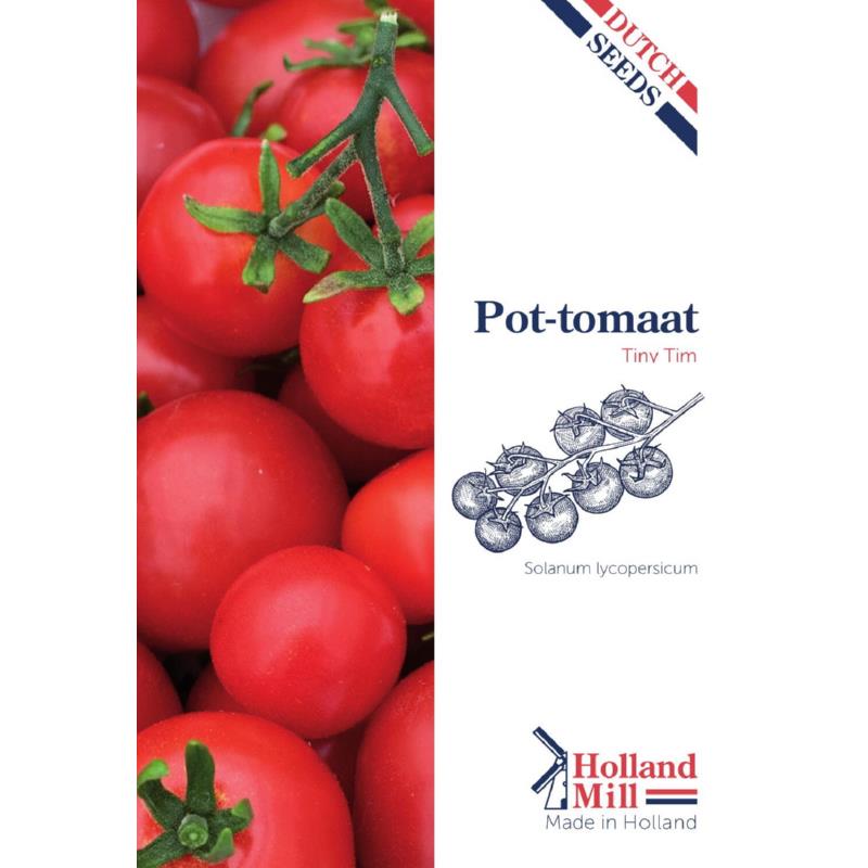 Holland Mill Bush tomato Tiny Tim small fruited Cherry