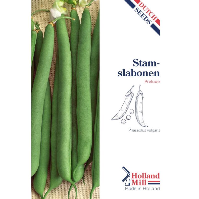 Holland Mill Dwarf French Beans Prelude