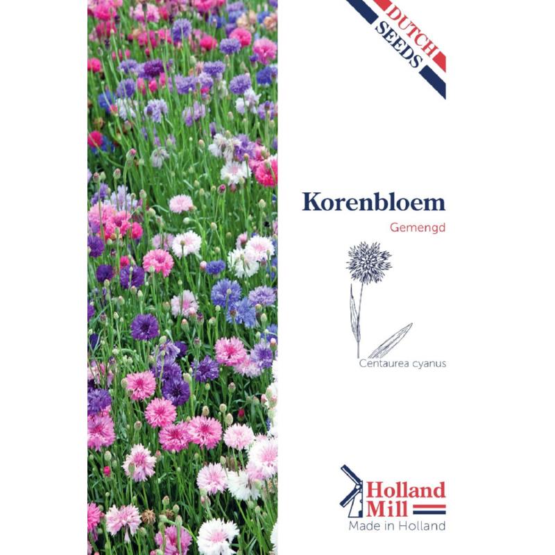 Holland Mill Centaurea mixture