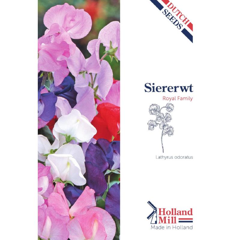 Holland Mill Lathyrus odoratus Royal Family