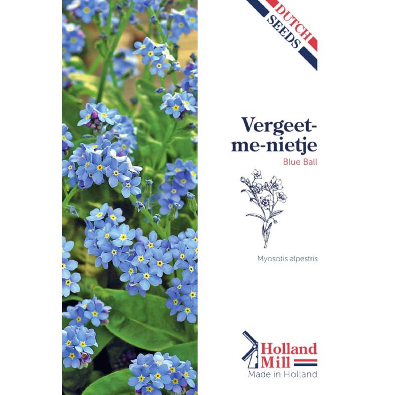 Holland Mill Myosotis alpestros dwarf Blue Ball