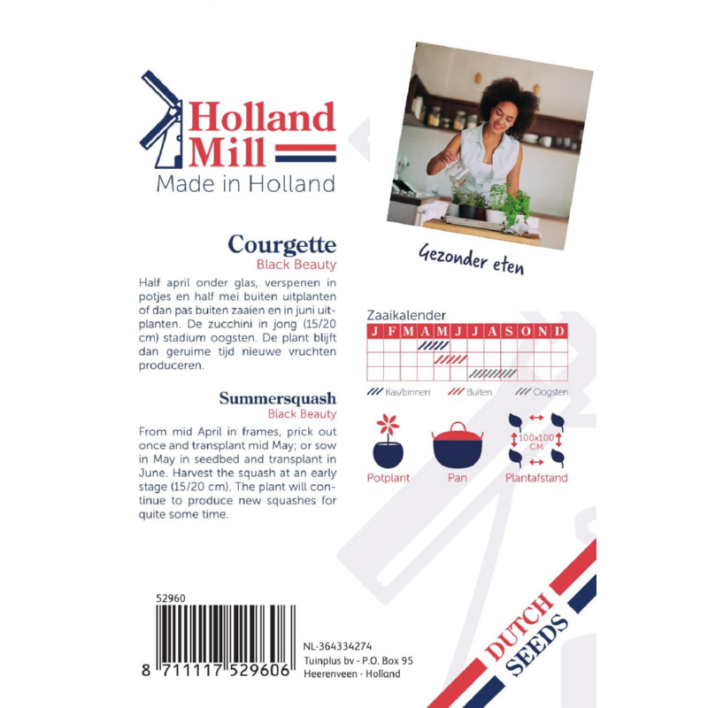 Holland Mill Summersquash - Black Beauty