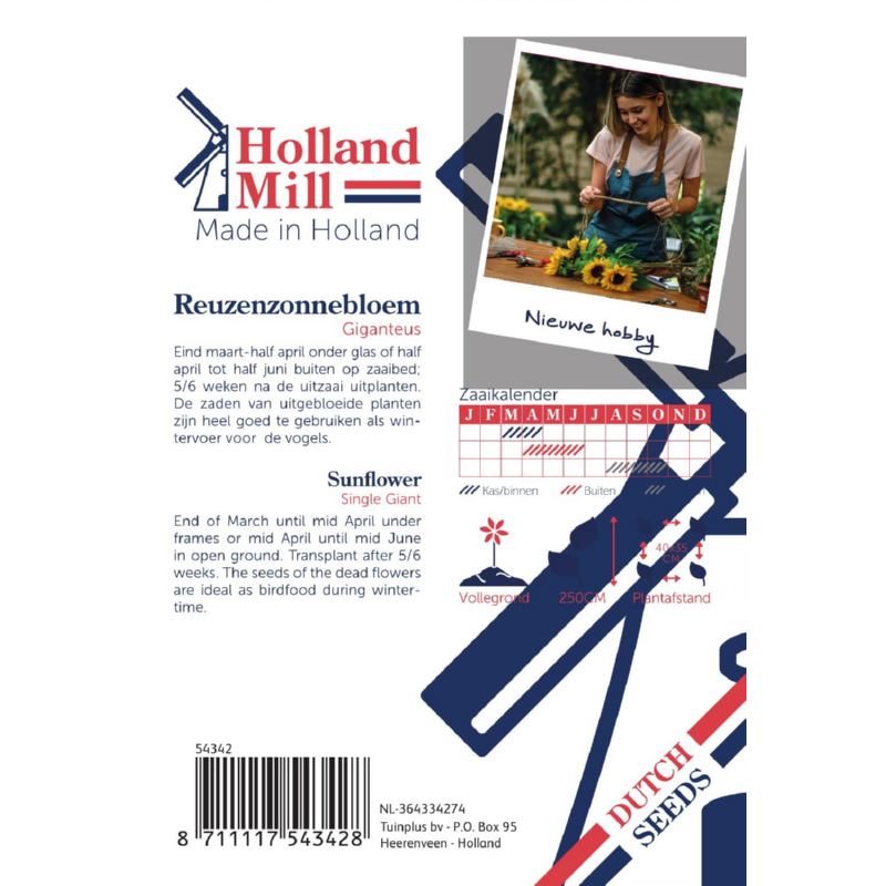 Holland Mill Helianthus giganteus