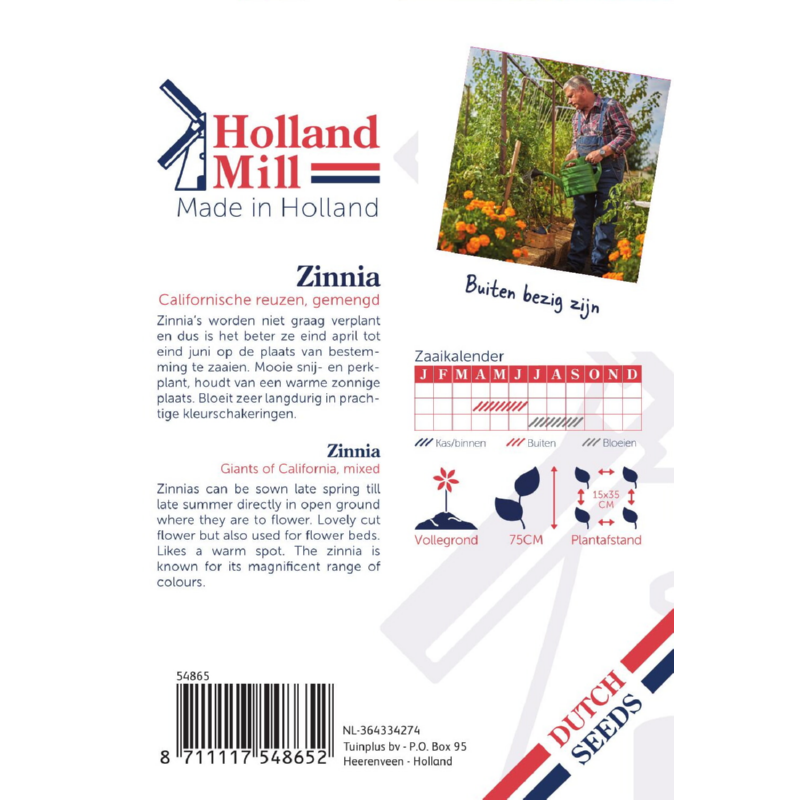 Holland Mill Zinnia elegans Giants Of California Mixed