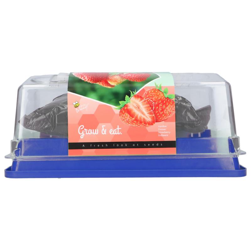 Buzzy® Greenhouse Homegrown Strawberry