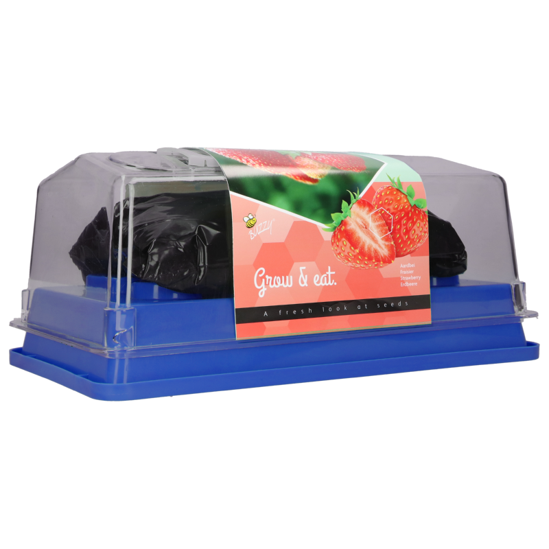 Buzzy® Greenhouse Homegrown Erdbeeren