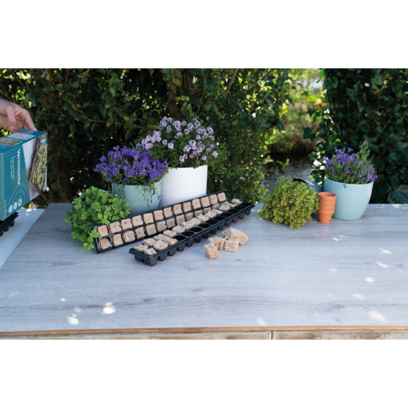 SOGO Trays for bio plugs 4pcs