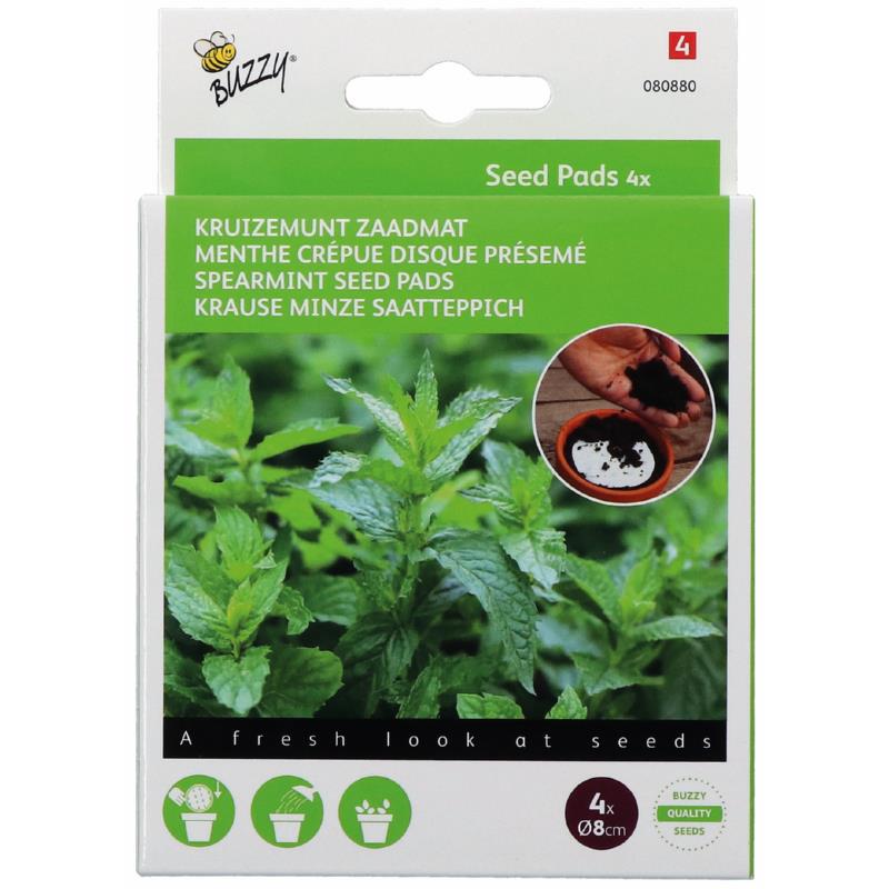 Buzzy® Seedpads Kruizemunt 4x 8cm