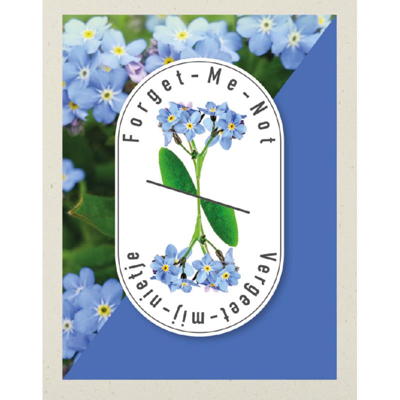 Premium Promo Seedpack Forget me not