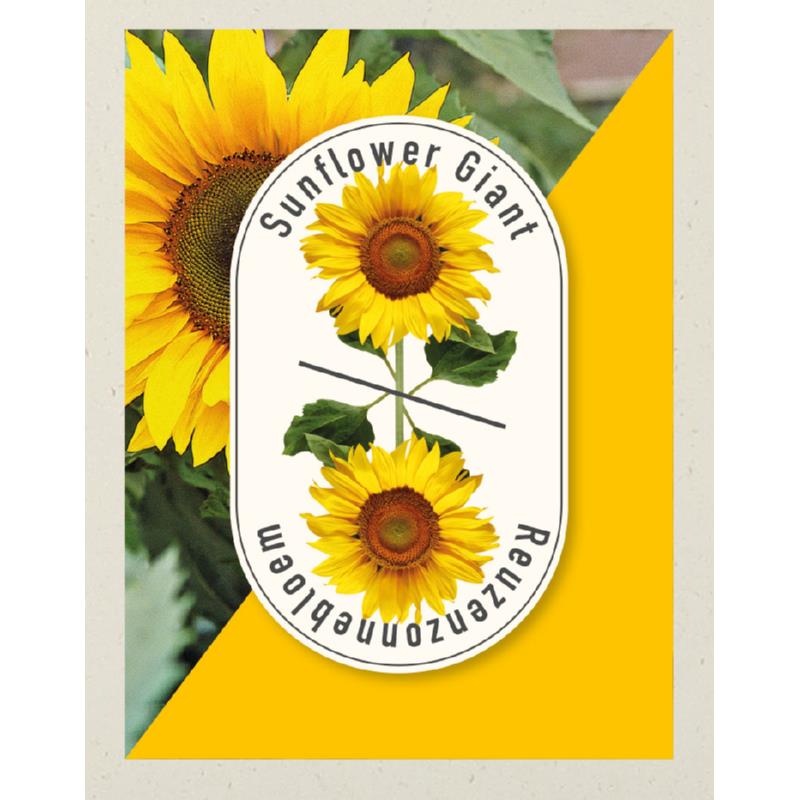 Premium Promo Seedpack Sunflower