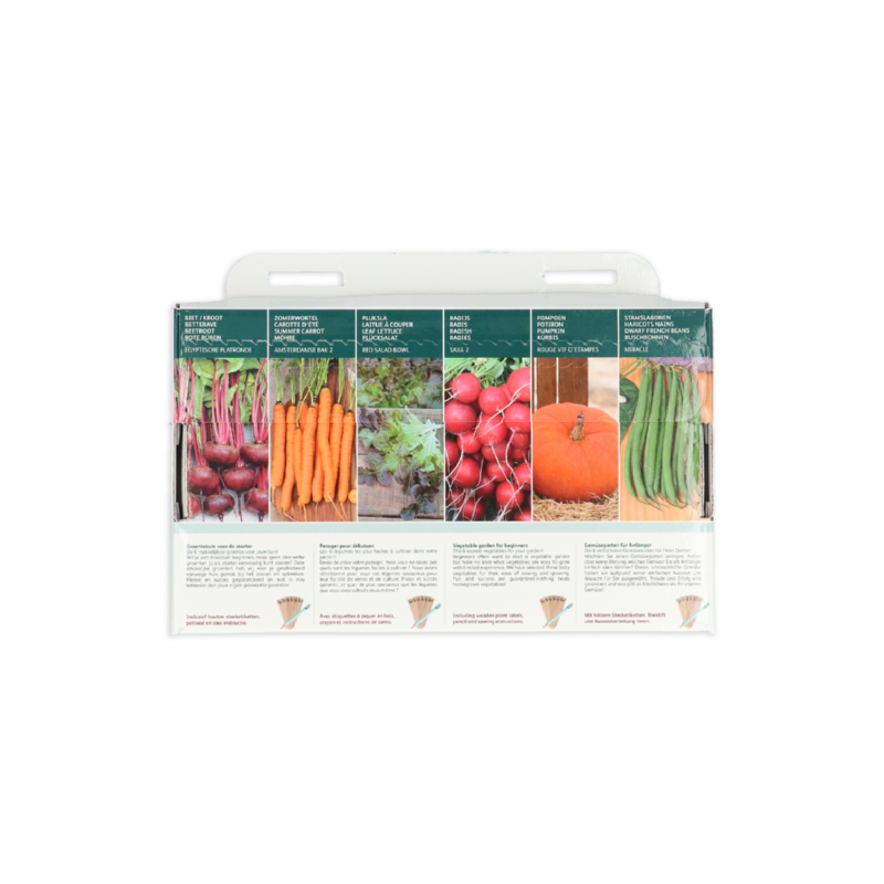 Buzzy® Collection 6 Vegetable garden for beginners