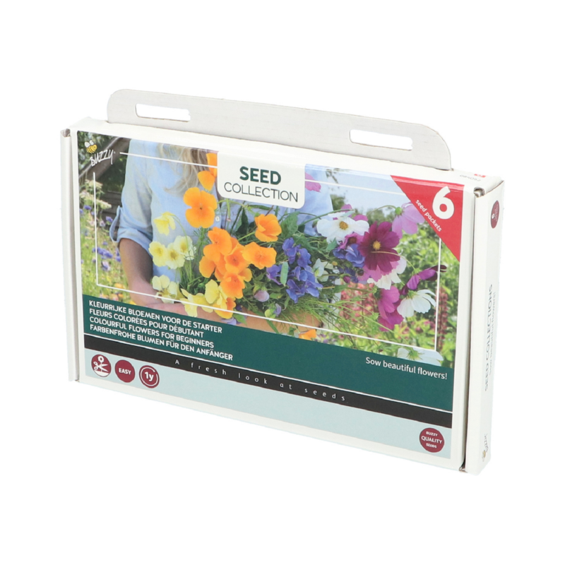Buzzy® Collection 6 Kleurrijke bloemen voor de starter