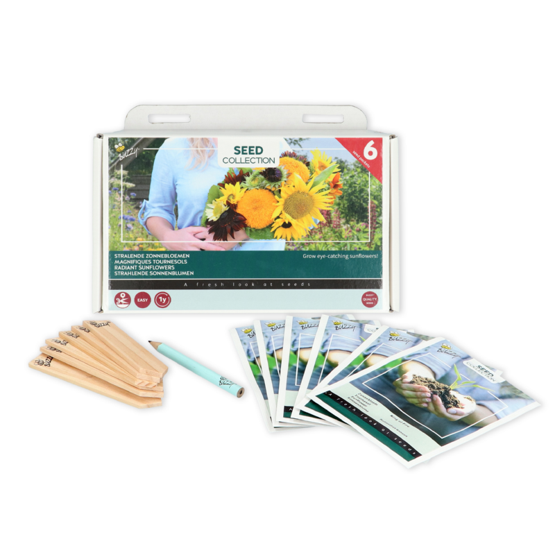 Buzzy® Collection 6 Radiant sunflowers