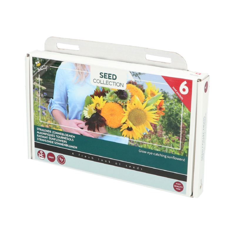 Buzzy® Collection 6 Radiant sunflowers