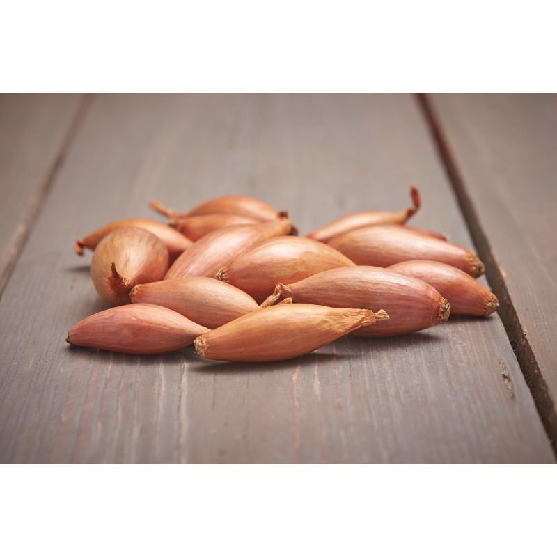 Plant Shallots Longor 500g