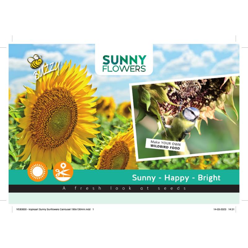 Header Sunny Sunflowers H85570/V89899