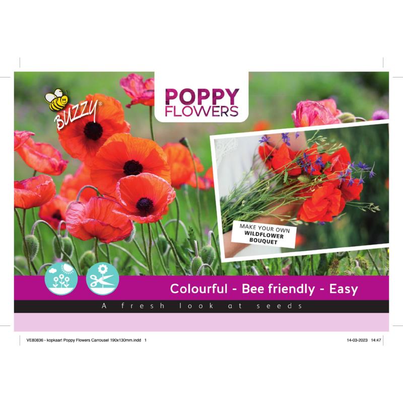 Kopkaart Poppy Flowers H85570/V89899