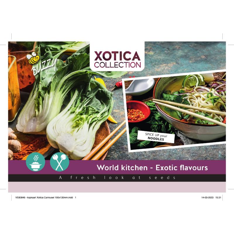 Kopkaart Xotica H85570/V89899