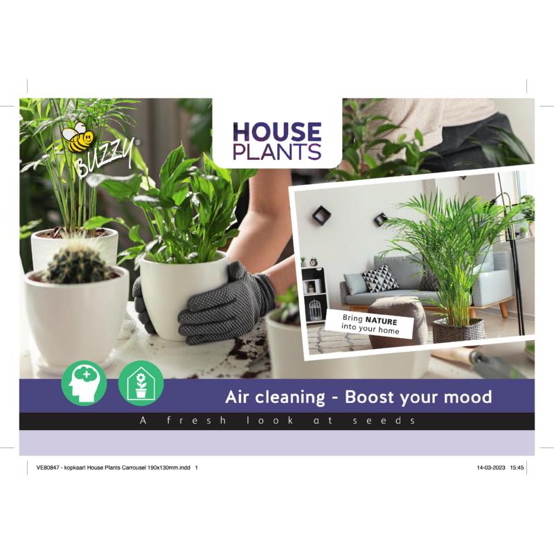 Kopkaart House Plants H85570/V89899