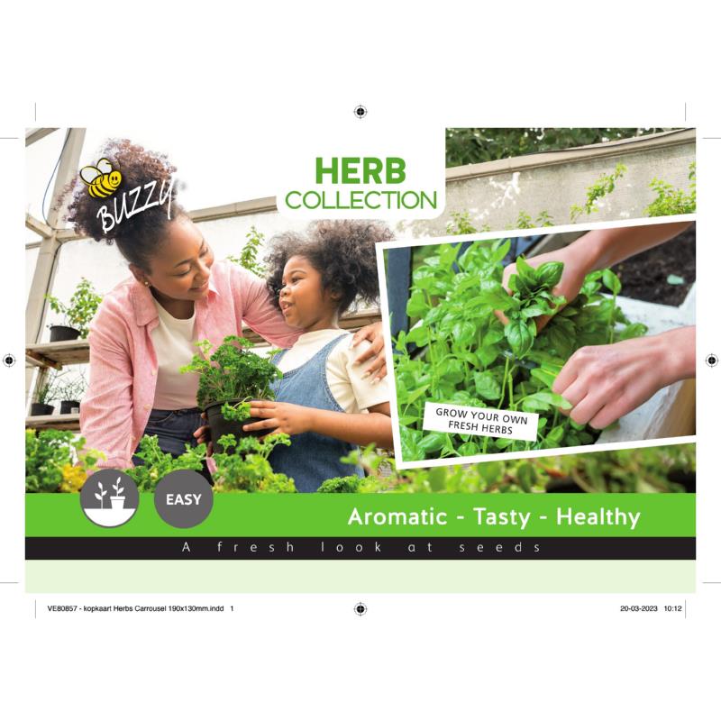 Header Buzzy Herbs H85570/V89899