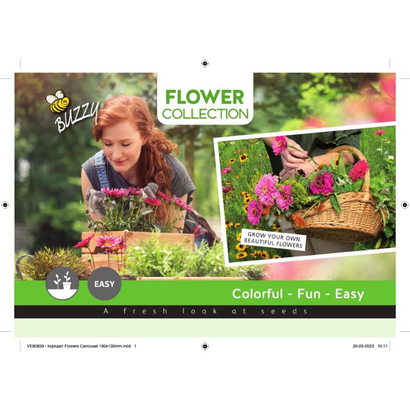 Kopkaart Buzzy Bloemen H85570/V89899