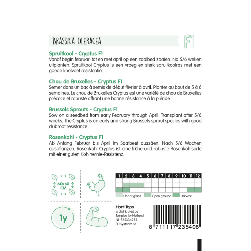 Horti Tops® Spruitkool Crispus F1