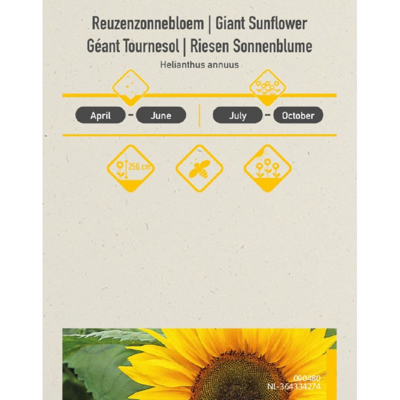 Premium Promo Seedpack Sunflower