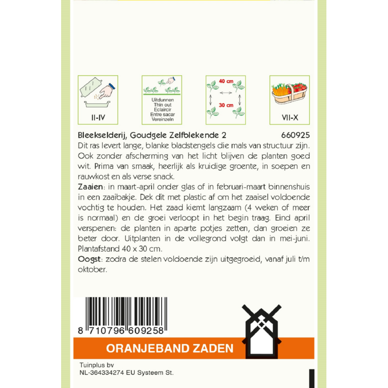 Oranjeband® Celery Golden Selfblanching 2