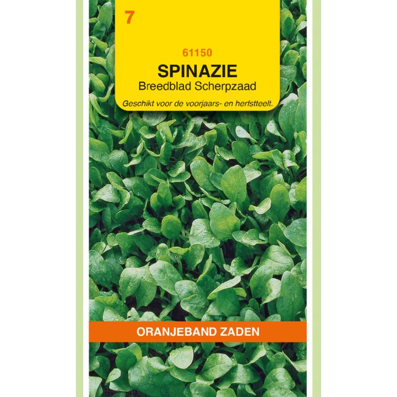 Oranjeband® Spinach Breedblad Scherpzaad, 250g