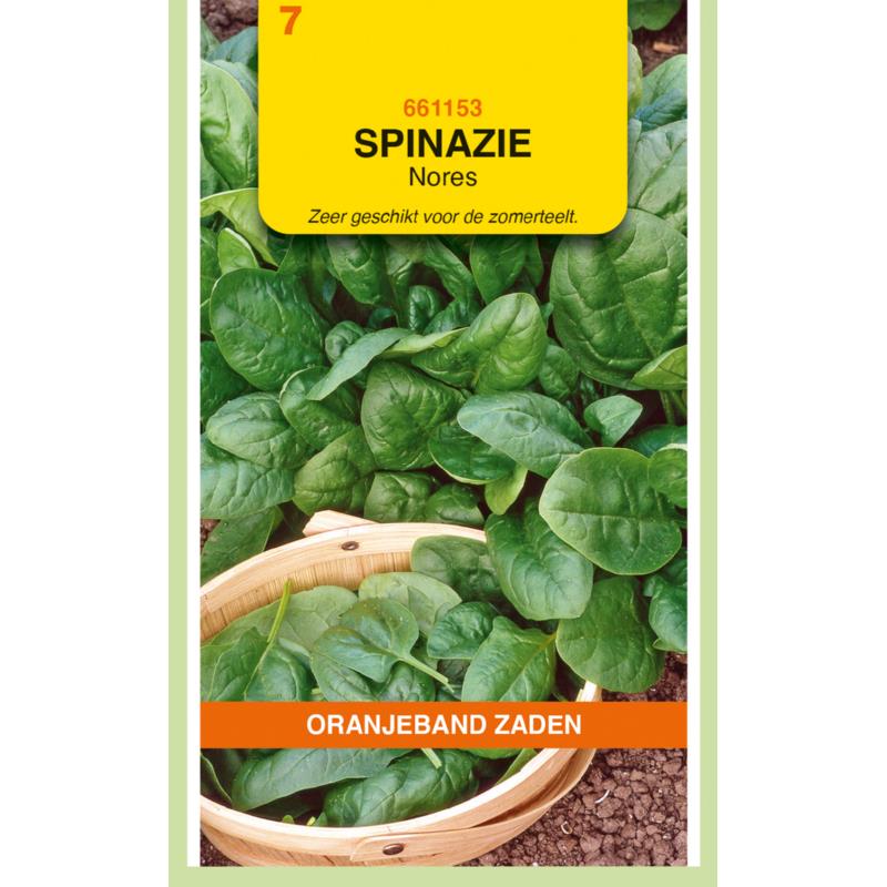 Oranjeband® Spinach Nores (Viking) Round Seeded, 250g
