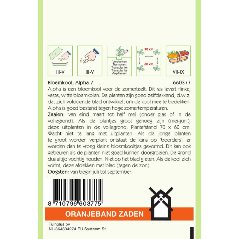 Oranjeband® Cauliflower  Alpha 7