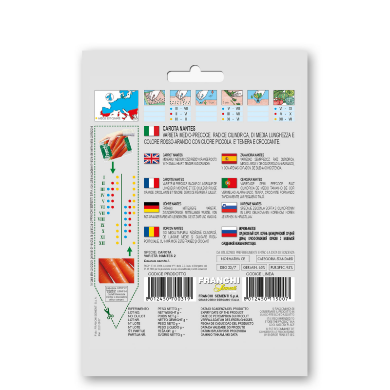 Fr Wortelen, Carota Nantes 2 23/7