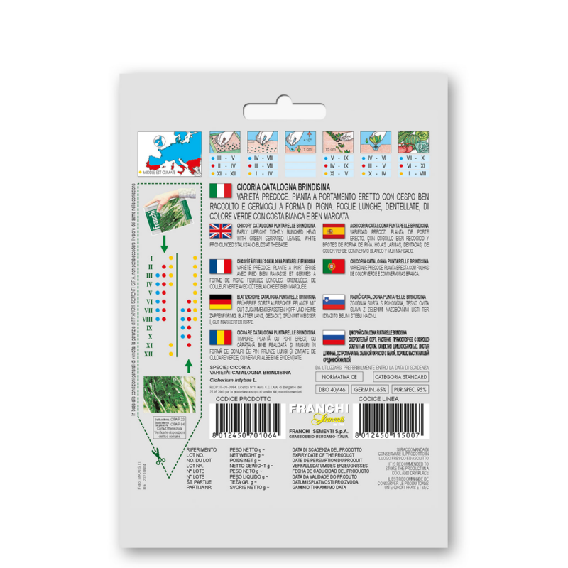 Fr Cicoria cat. Punterelle Brindisni 40/46