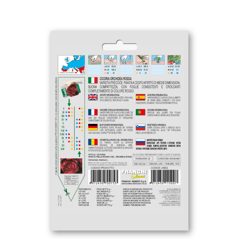 Fr Cicoria Orchidea Rossa 40/64