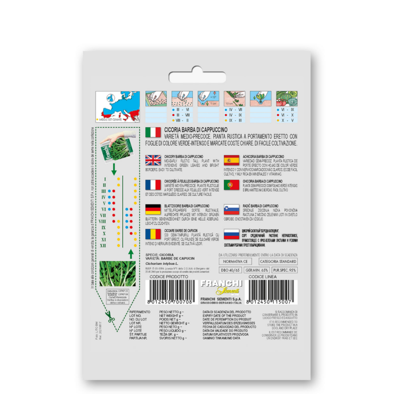 Fr Cichory, Cicoria Barba di cappuccino 40/65