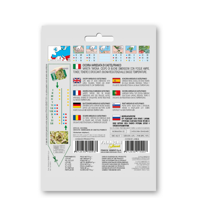 Fr Cicoria Castelfranco 40/5