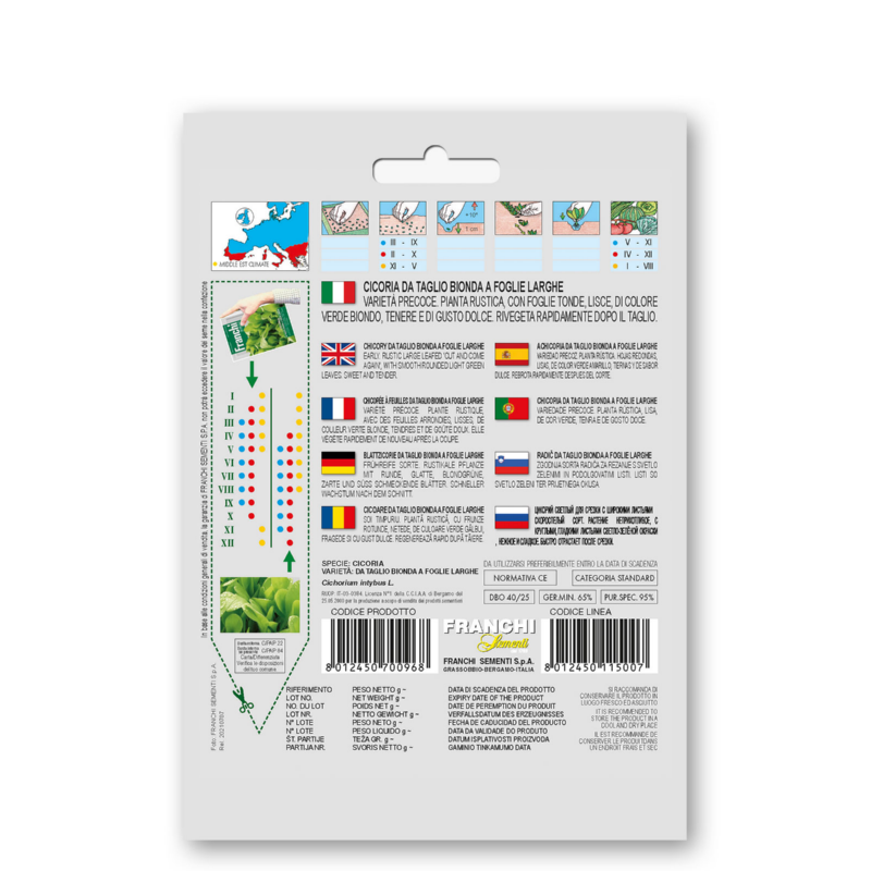Fr Cichory, Cicoria Bonda foglie larghe 40/25
