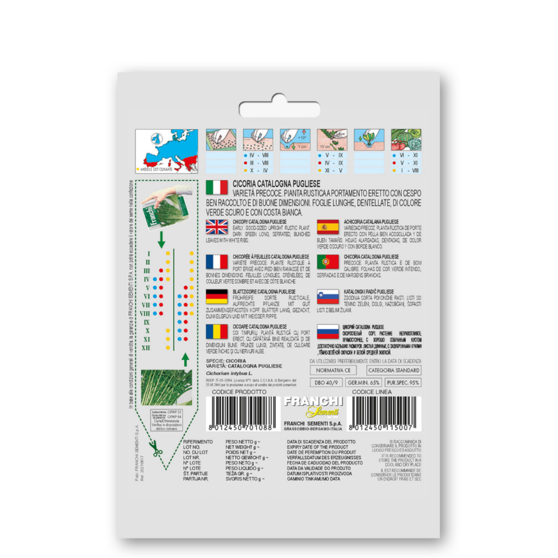 Fr Cicoria Catalogna - Cichorei